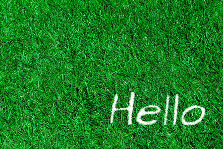 Green grass natural background. hello springの写真素材