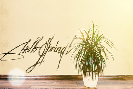 beautiful flowerpot  on wall backgroundの写真素材