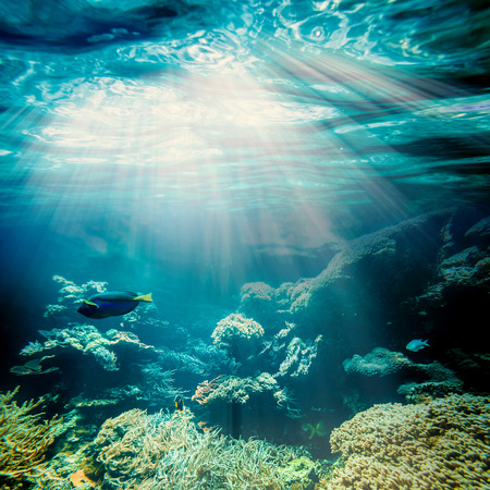 background sand on the beach underwaterの写真素材