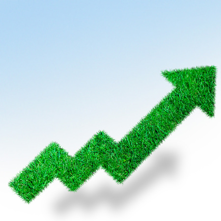Growth diagram of grass on white background