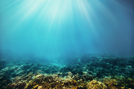 background sand on the beach underwaterの写真素材