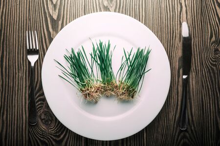 Fresh green salad with wheat seedling, on a plate on a old vintage table. vegan food.の写真素材