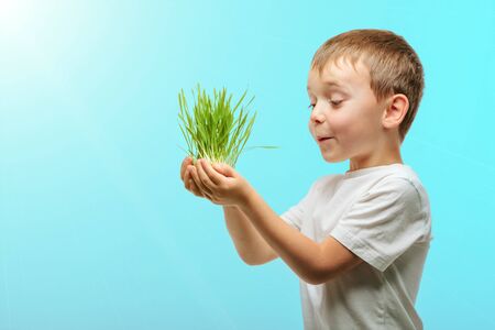 the child holds plants in his hands.の写真素材