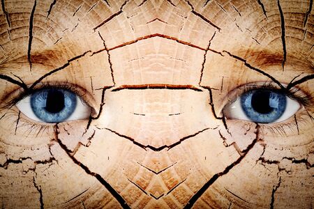 a eyes four year old girl. cracked skin. AGING PROCESSの写真素材