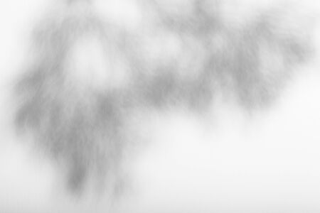 shadow tree with leaves on a gray background. abstract image