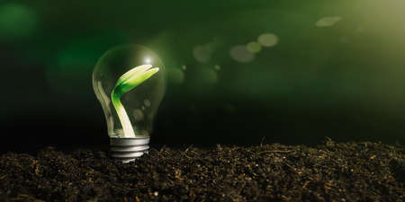 Concept image of a light bulb on the ground with a plant insideの写真素材