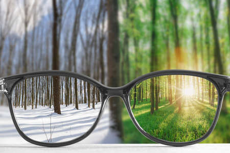 a glasses for all seasonsの写真素材