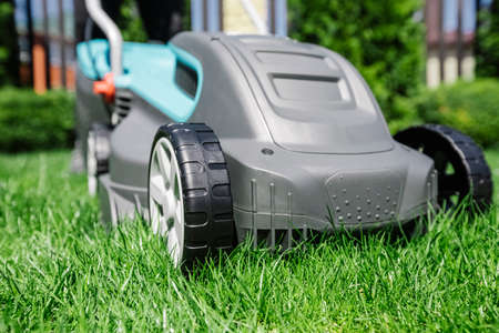 summer lawn mowing in the garden with a lawn mower