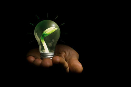 Concept image of a light bulb in hand with a plant insideの写真素材