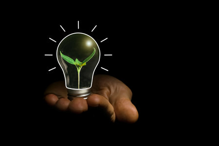 Concept image of a light bulb in hand with a plant insideの写真素材
