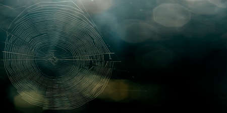 Spider web woven on a black background is a place for advertisingの写真素材