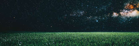 Green field on the background of the night sky.の写真素材