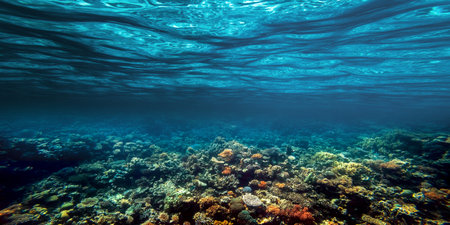 Underwater coral reef on the red seaの写真素材