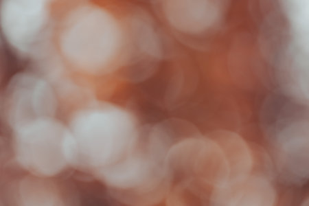 blurred autumn forest background with beautiful bokehの写真素材