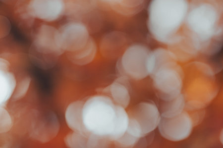 blurred autumn forest background with beautiful bokehの写真素材