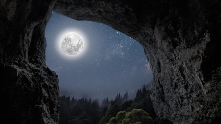 a night sky in the forest with stars and moonの写真素材