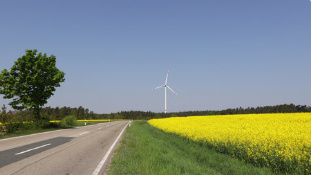 summer landscape against the backdrop of windmills
