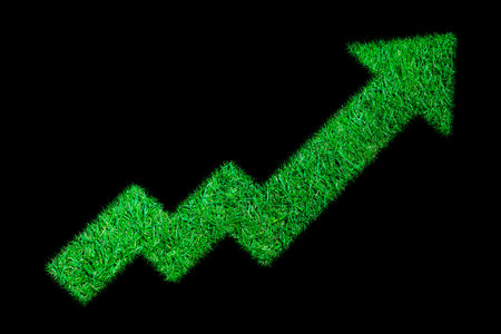 a growth diagram of grass on black backgroundの写真素材