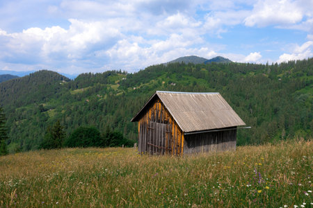 The Carpathian mountains in summer