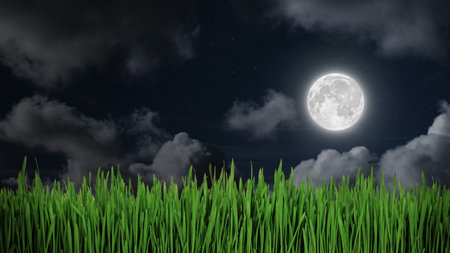 Green field on the background of the night sky.の写真素材