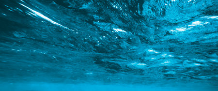 Underwater coral reef on the red sea