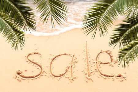 The description on the seashore with palm treesの写真素材