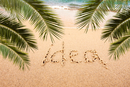 inscription Idea on the seashore with palm treesの写真素材