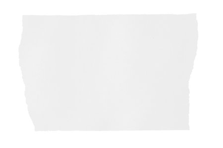 torn piece of paper on a white backgroundの写真素材