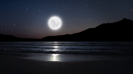 a movement of stars in the night sky with the view of mountains. . High quality photoの写真素材