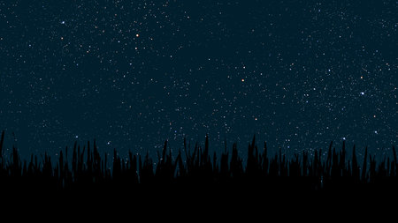 a movement of stars in the night sky with the view of mountains. . High quality photoの写真素材