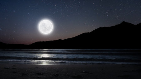 a movement of stars in the night sky with the view of mountains. . High quality photoの写真素材