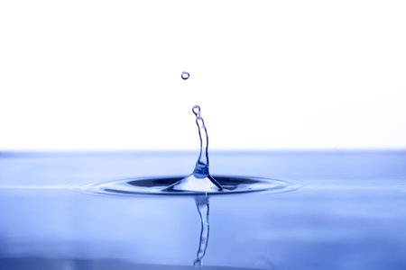a Water Droplets on white backgroundの写真素材