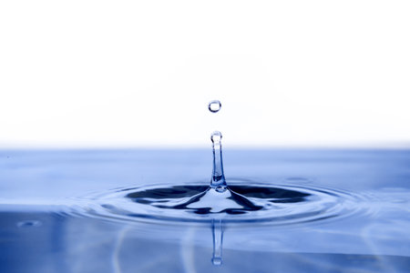 Water Droplets on white baskgroundの写真素材