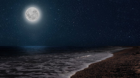 a movement of stars in the night sky with the view of the sea. High quality photoの写真素材