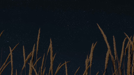 night panorama with a star in the skyの写真素材