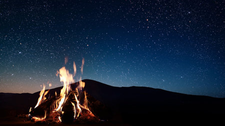 The Burning fire on a black background with space for textの写真素材