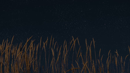 night panorama with a star in the skyの写真素材