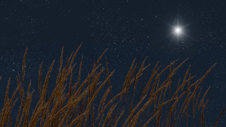 night panorama with a star in the skyの写真素材