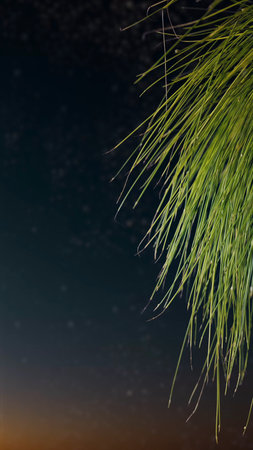 night Christmas panorama with a star in the sky