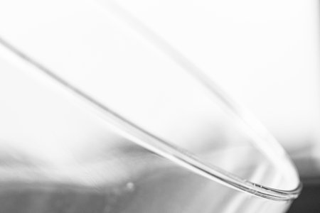 Transparent glass wrap texture overlay isolated on PNG background.の写真素材