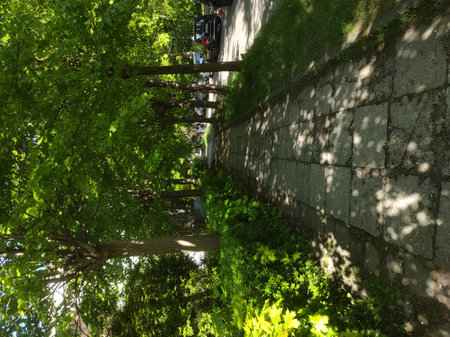 Kaliningrad nature in the city, a park with trees, a river and a fountain. Picturesque urban nature.の写真素材