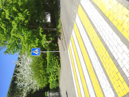 White and yellow pedestrian crosswalk on the roadway. Paved road. Trees.の写真素材