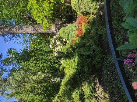 Kaliningrad nature in the city, a park with trees, a river and a fountain. Picturesque urban nature.の写真素材