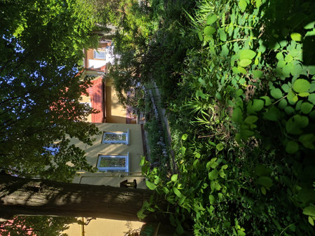 Modern and lovely homes with nature all around. A sunny summer day. Modern and old houses in Russia, Kaliningrad region, Svetlogorsk. Beautiful fences (fences). Architecture 2021, peaceful buildings.の写真素材