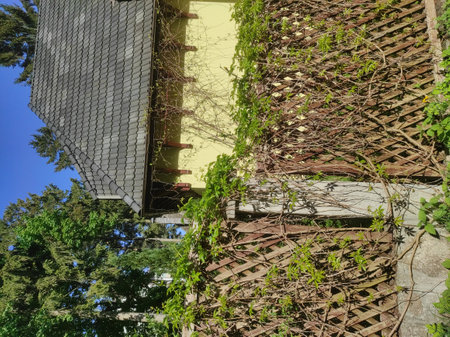 Modern and lovely homes with nature all around. A sunny summer day. Modern and old houses in Russia, Kaliningrad region, Svetlogorsk. Beautiful fences (fences). Architecture 2021, peaceful buildings.の写真素材