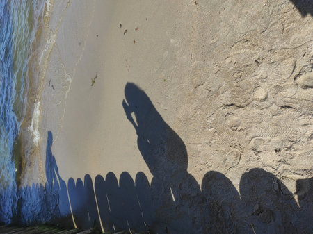 Breakwaters (stump) wooden. Shadows of people on the pier. Baltic Sea view from Svetlogorsk, Kaliningrad region.の写真素材