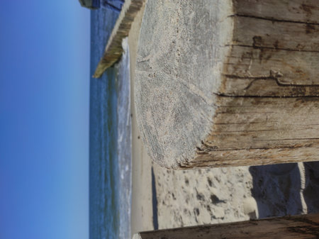 Breakwaters (stump) wooden. Shadows of people on the pier. Baltic Sea view from Svetlogorsk, Kaliningrad region.の写真素材