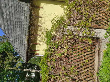Modern and lovely homes with nature all around. A sunny summer day. Modern and old houses in Russia, Kaliningrad region, Svetlogorsk. Beautiful fences (fences). Architecture 2021, peaceful buildings.の写真素材