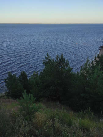 Nature near the Volga river. The coast with trees and other vegetation. The Volga River in Russia.の写真素材