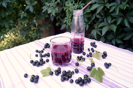 Healthy smoothie from berry of blackcurrant vitamin drink, summer desserts concept.の写真素材